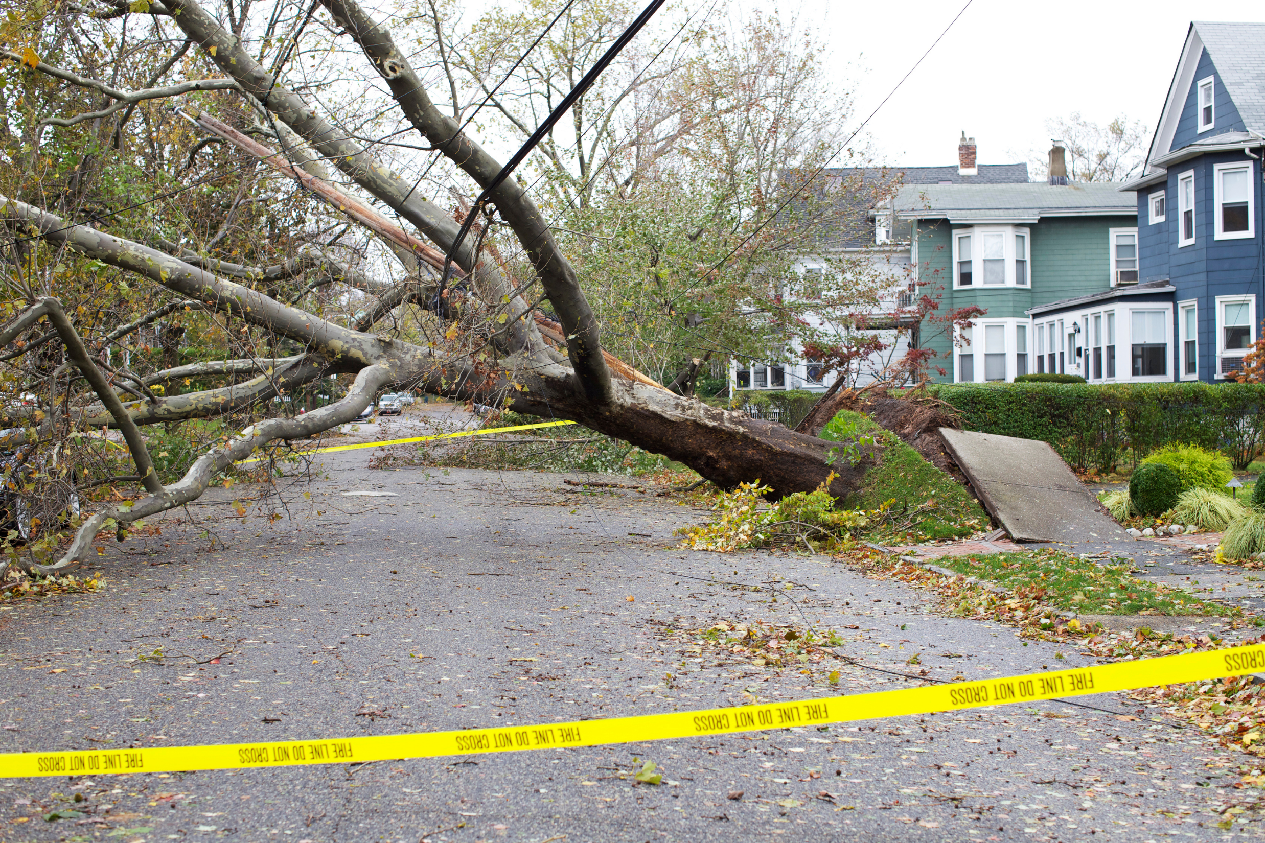 Large tree uprooted by a storm blocking a residential street, with caution tape marking the area—represents hurricane damage claim scenario