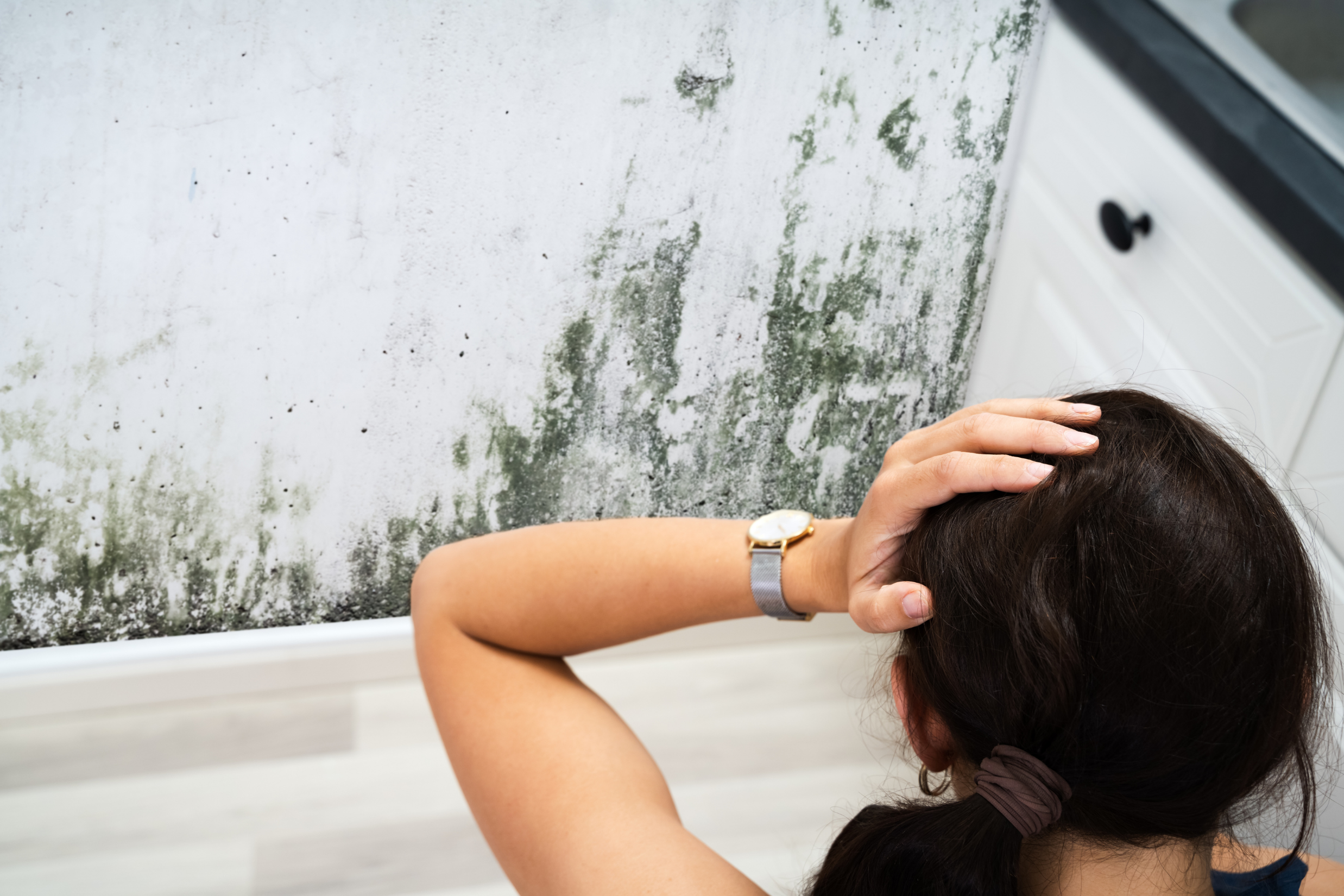 Worried woman looking at mold growing on a damaged interior wall in her home, representing mold damage claim scenario